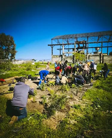 Team Gardening