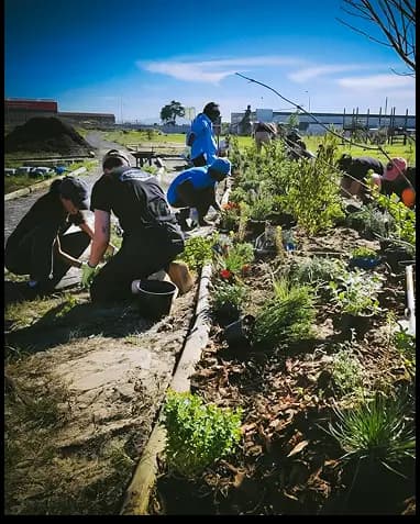 Team Gardening